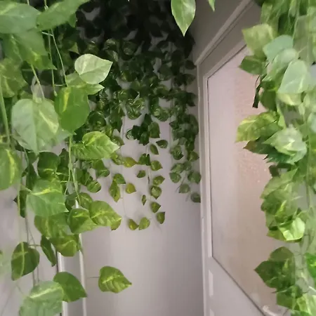 Giordano's בית אירוח *